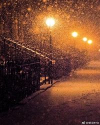 在暴雪时分在线阅读