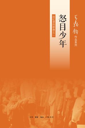 怒目少年：回忆录四部曲之二在线阅读