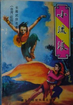 小流浪在线阅读