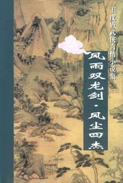 风雨双龙剑在线阅读