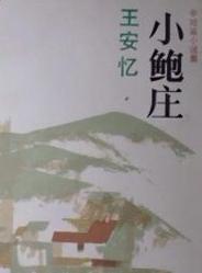 小鲍庄在线阅读